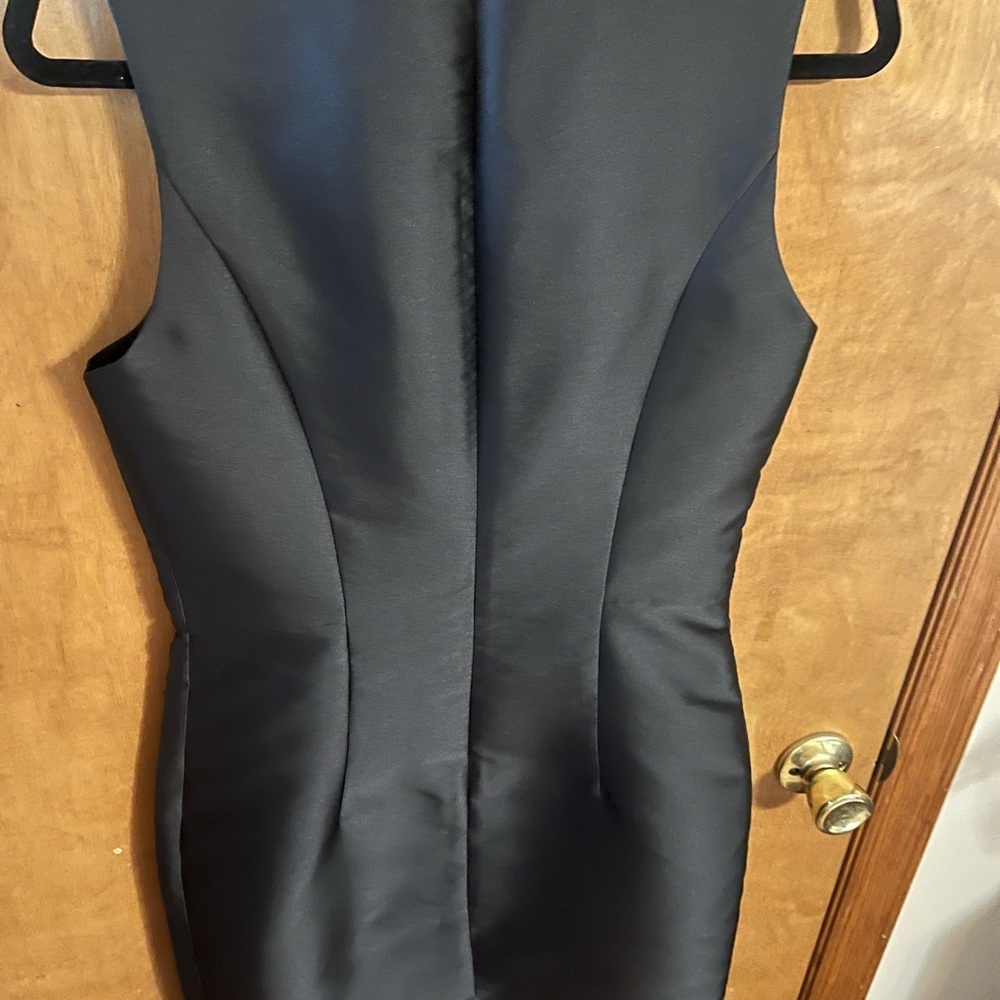 Sachin and Babi Elegant Black Sleeveless Dress - Picture 7 of 8